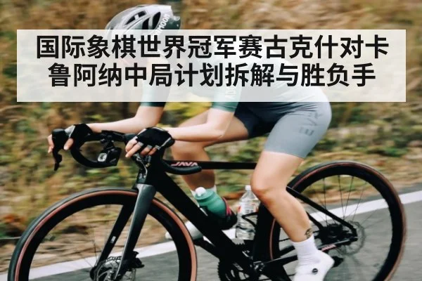 国际象棋世界冠军赛古克什对卡鲁阿纳中局计划拆解与胜负手